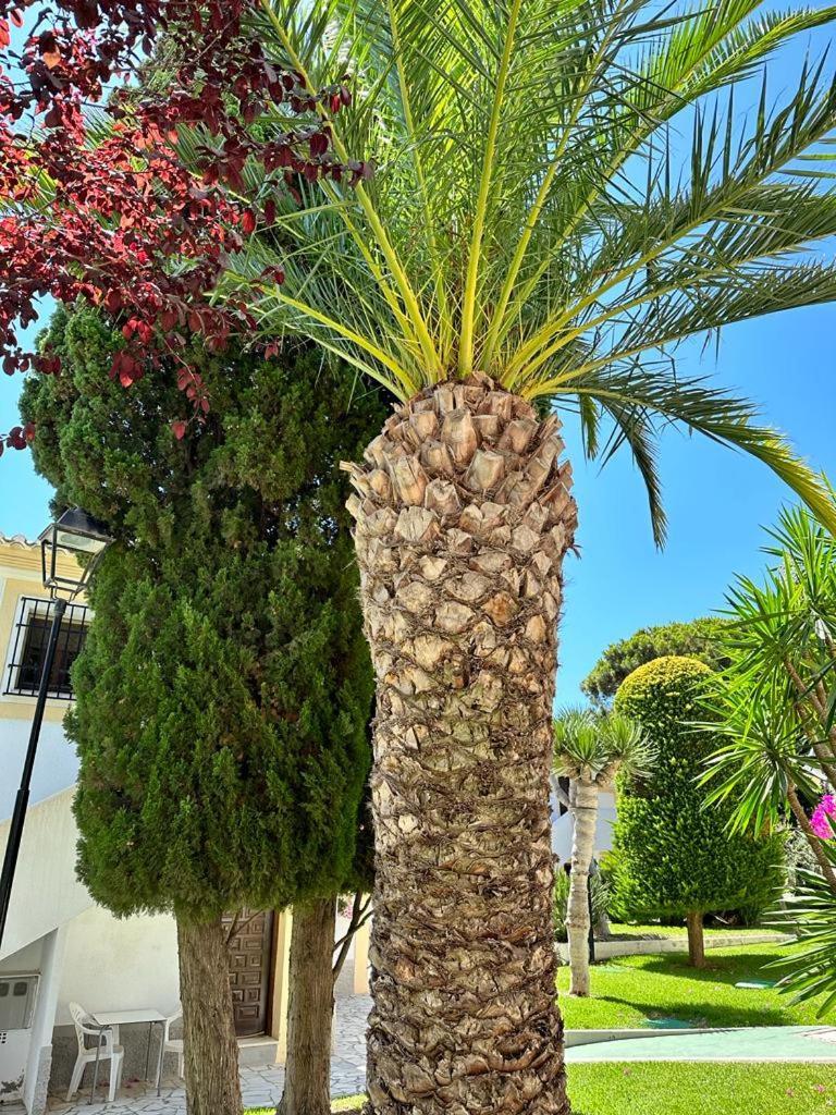 Casa De Familia Vera Coast Εξωτερικό φωτογραφία